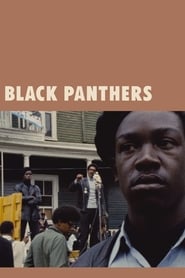 Poster Black Panthers