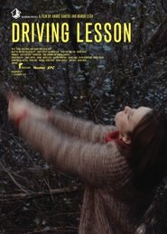 Poster Driving Lesson 2015