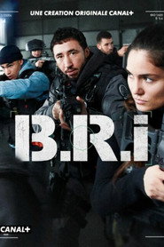 The Brigade постер