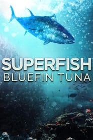 Poster Superfish - Sprinter der Ozeane