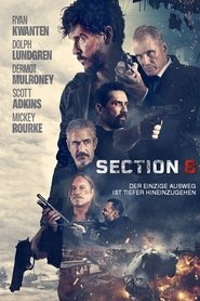 Section 8 (2022)