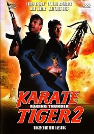 Poster Karate Tiger 2