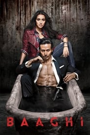 Baaghi 2016 Hindi Movie BluRay 300mb 480p 1.2GB 720p 5GB 11GB 14GB 1080p