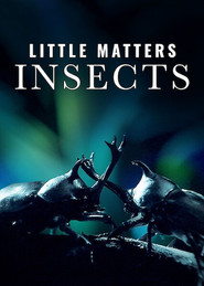 Little Matters: Insects
