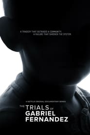 The Trials of Gabriel Fernandez (2020)