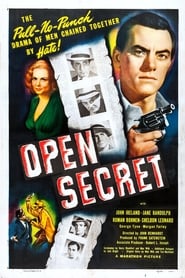 Open Secret постер