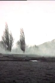 Poster The Swing 1994