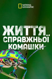 A Real Bug's Life (2024)