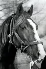 Photo de Champion Jr. Champ - Gene's horse 