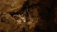 The Bone Caves - Alveston, Gloucestershire