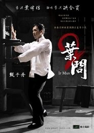 Image Ip Man 2