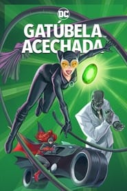 Catwoman: Hunted Full HD Online Español Latino | Descargar