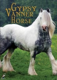 Gypsy Vanner Horse