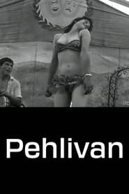 Poster Pehlivan