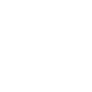 Mad Gene Media