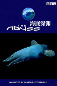The Abyss