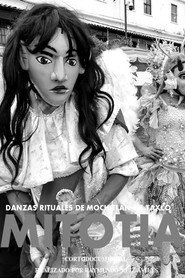 Poster for Mitotia