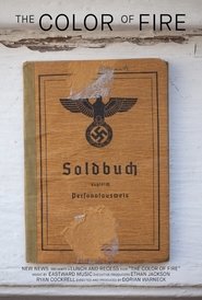 Poster The Color of Fire 2015 Poster The Color of Fire 2015