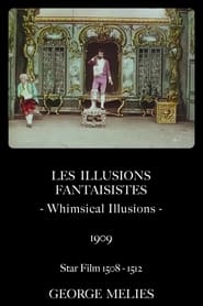 Whimsical Illusions постер