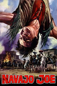 Navajo Joe