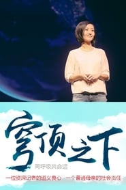 穹顶之下 (2015)