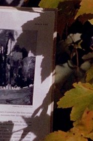 Poster Four Shadows 1978