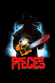 Pieces постер