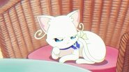 Nyanfluencer Mayu