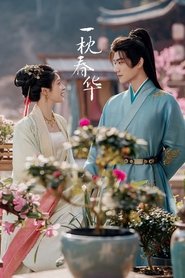一枕春华