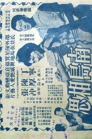 Poster 南島相思