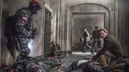 Colony 2x5