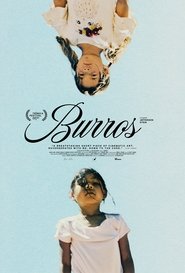 Poster Burros 2021