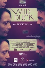 Poster Wild Duck