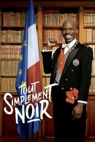 Voir Tout simplement noir en streaming vf gratuit sur streamizseries.net site special Films streaming