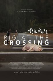 Pig at the Crossing