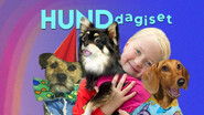 Hunddagiset