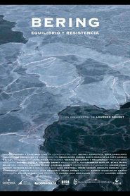 Poster Bering. Equilibrio y resistencia 2013