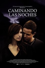 Poster Caminando las noches 2012