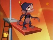 Timón y Pumba 1x12