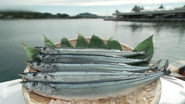 Sanma