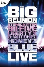Poster The Big Reunion Live 2013 Poster The Big Reunion Live 2013