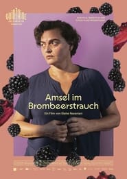 Poster Amsel im Brombeerstrauch