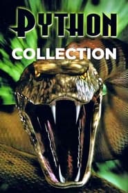 Python Collection en streaming
