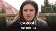 Episode 109