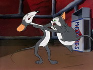 Tale of Two Mice