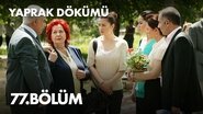 Episode 77