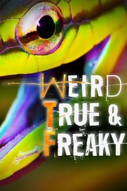 Weird, True & Freaky Episode Rating Graph poster