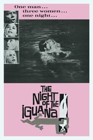 The Night of the Iguana постер