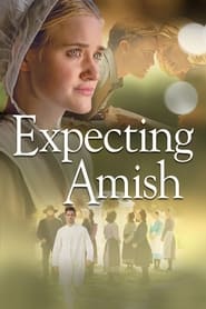 Expecting Amish постер