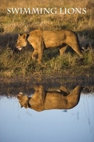 Poster Swimming Lions (2003)